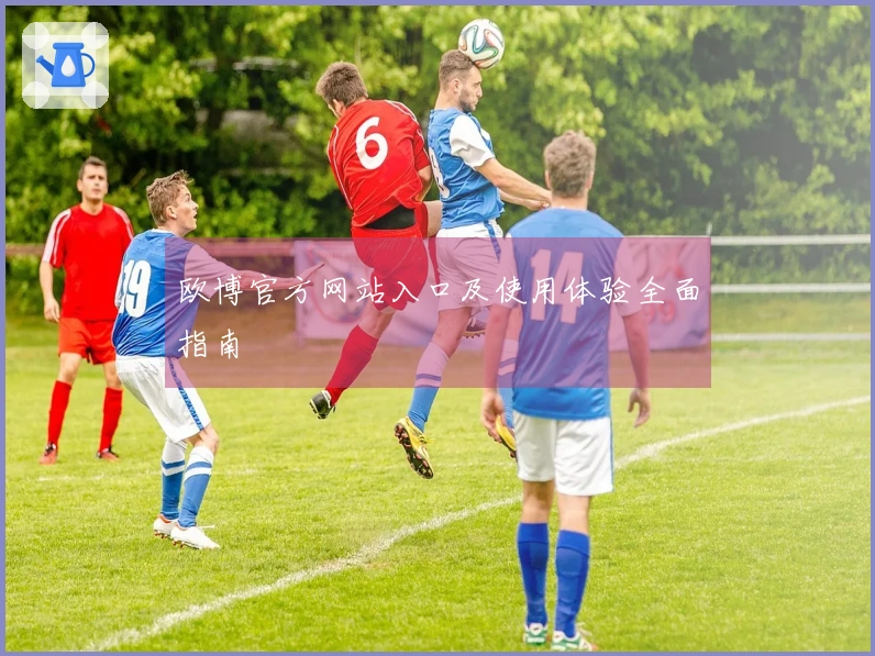 欧博官方网站入口及使用体验全面指南