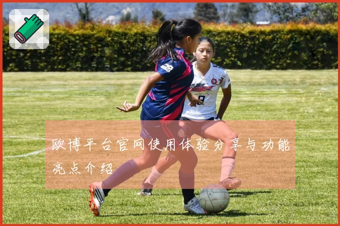 欧博平台官网使用体验分享与功能亮点介绍