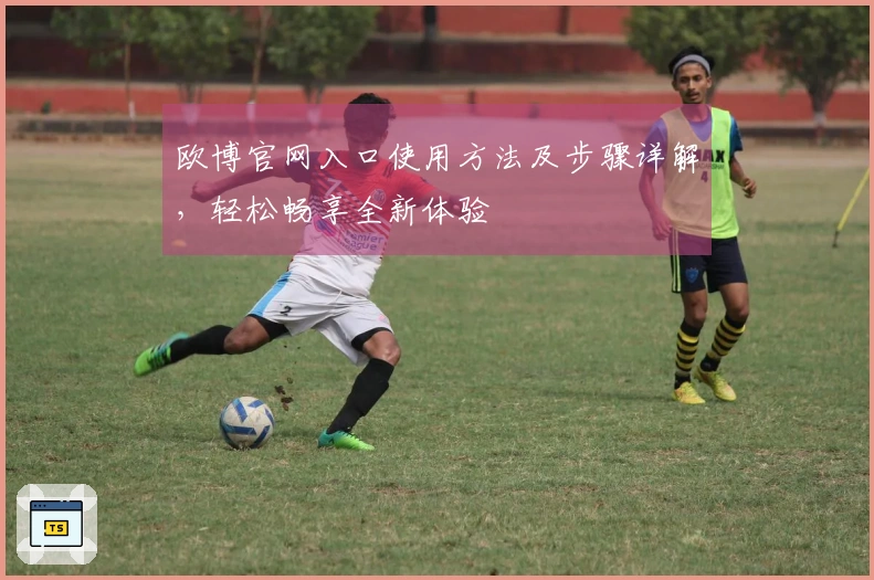 欧博官网入口使用方法及步骤详解，轻松畅享全新体验
