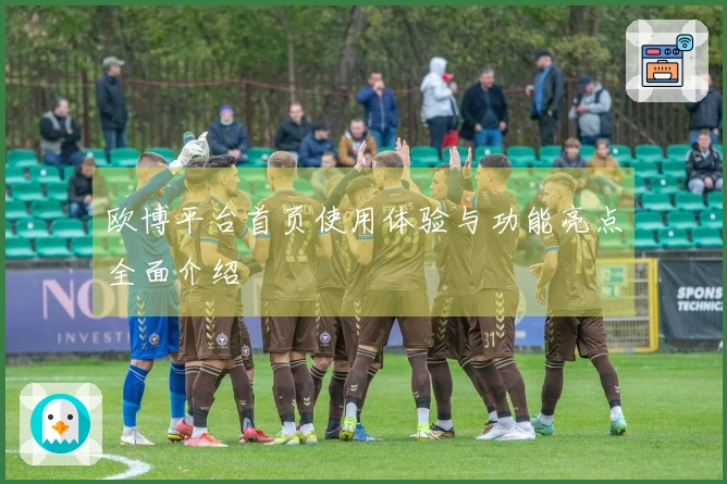 欧博平台首页使用体验与功能亮点全面介绍